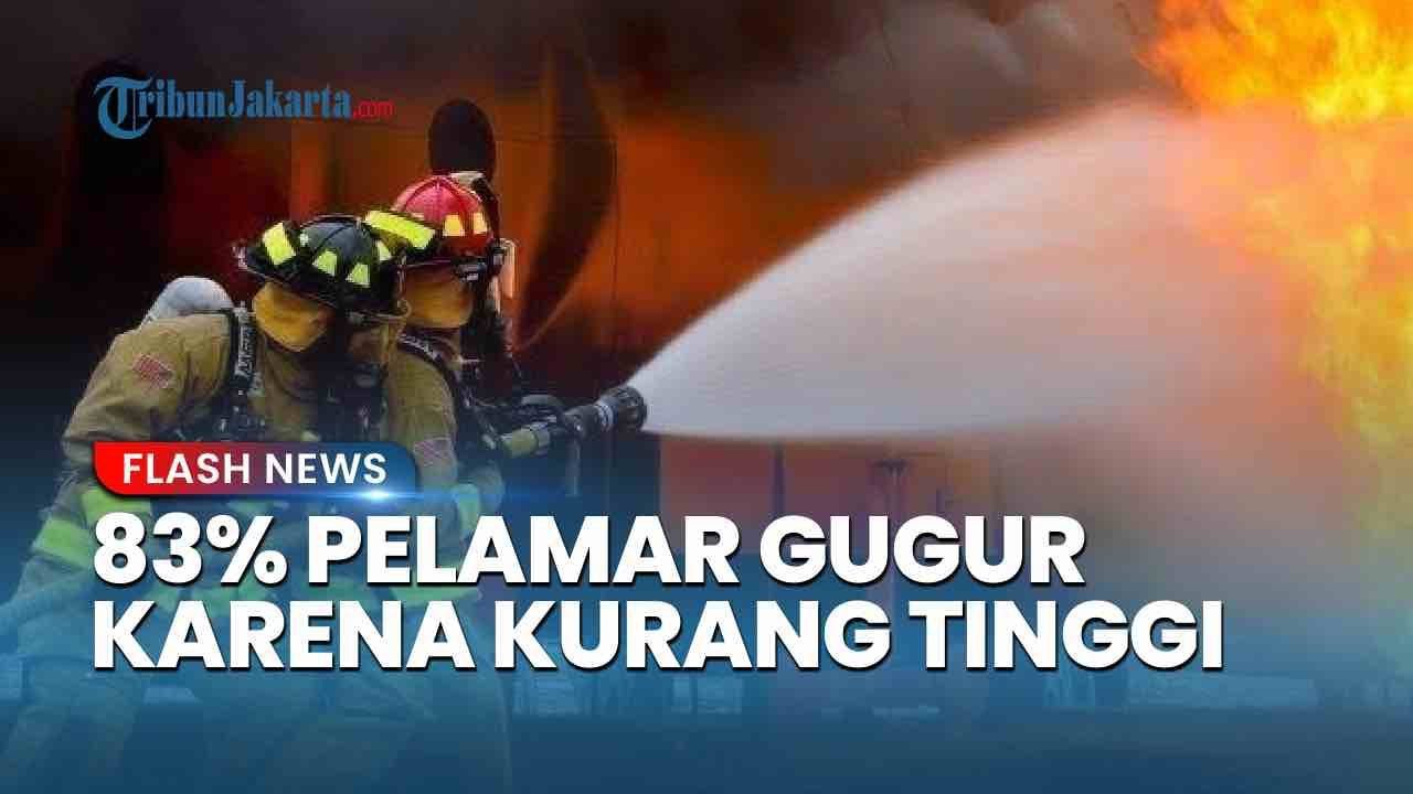 Youtube Thumnail image of :