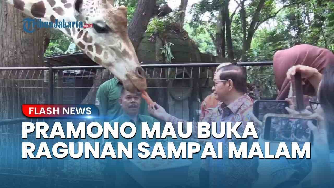 Setelah Taman 24 Jam, Gubernur Pramono Anung Bakal Buka Taman Margasatwa Ragunan Hingga Malam