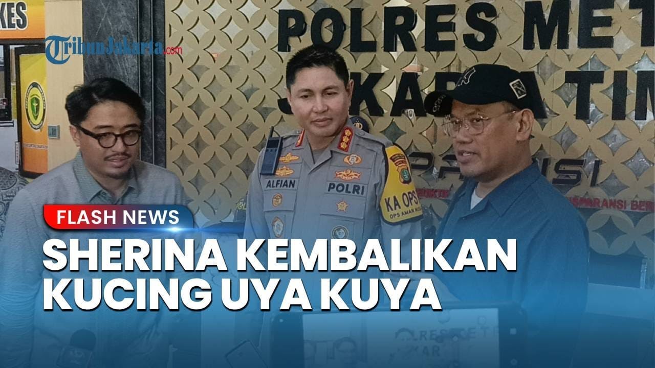 Sherina Munaf Bakal Kembalikan 5 Kucing Uya Kuya yang Diselamatkannya