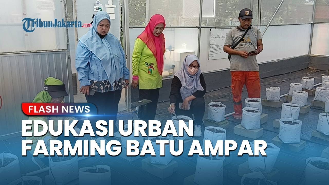 Urban Farming di Saung Aset Batu Ampar jadi Sarana Edukasi Warga
