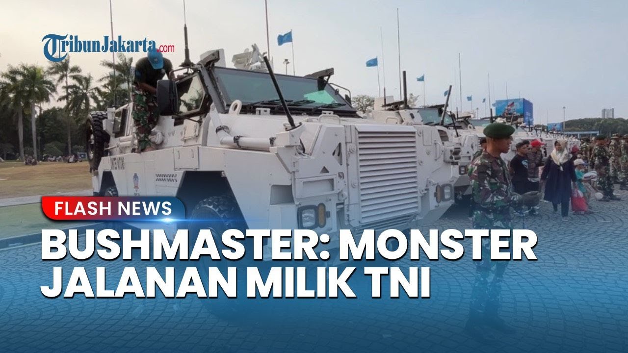 Bushmaster: Monster Jalanan Milik TNI, Tangguh di Segala Medan-Antipeluru hingga Ranjau
