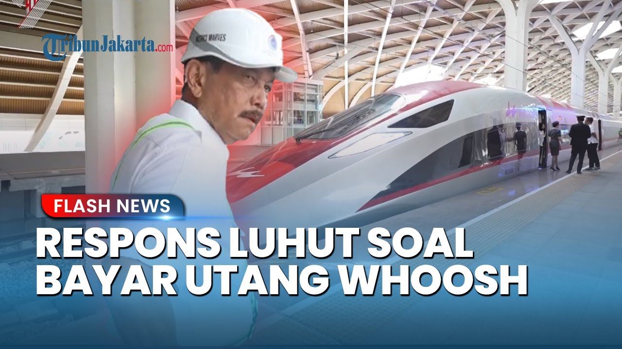 Luhut Buka Suara Soal Pembayaran Utang Kereta Cepat Whoosh: Siapa Yang Minta APBN? Tak Ada