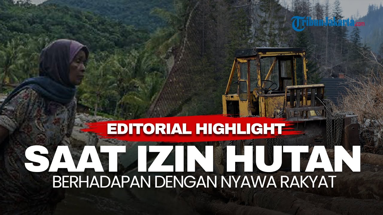 EDITORIAL HIGHLIGHT | Tragedi Bencana Sumatera: Saat Izin Hutan Berhadapan dengan Nyawa Rakyat