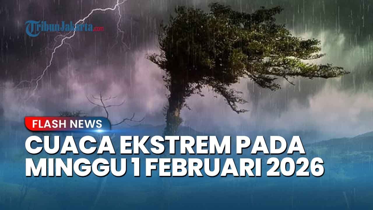 Peringatan Dini BMKG Cuaca Ekstrem 1 Februari 2026, Ini Wilayah Berpotensi Hujan Lebat Angin Kencang